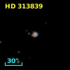HD 313839