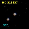 HD 313837