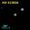 HD 313836