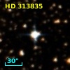 HD 313835