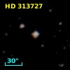 HD 313727