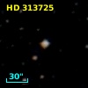 HD 313725
