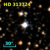 HD 313724