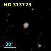HD 313723