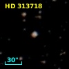 HD 313718