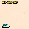 HD 315023