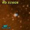 HD 315028