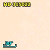 HD 315022
