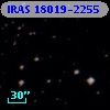 IRAS 18019-2255