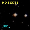 HD 313735