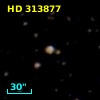 HD 313877