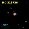 HD 313736