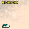 HD 315020