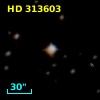 HD 313603
