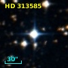 HD 313585