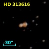 HD 313616