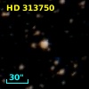 HD 313750