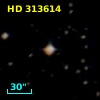 HD 313614
