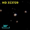 HD 313729