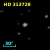 HD 313728