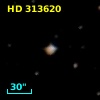 HD 313620