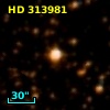 HD 313981