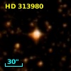 HD 313980