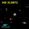HD 313872