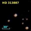 HD 313887