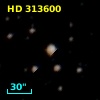 HD 313600