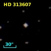 HD 313607