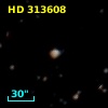 HD 313608