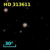 HD 313611