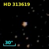 HD 313619