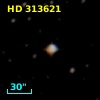 HD 313621