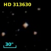 HD 313630