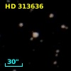 HD 313636