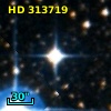 HD 313719