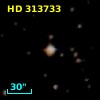 HD 313733