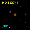 HD 313744
