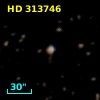 HD 313746