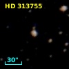 HD 313755