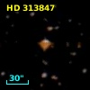 HD 313847