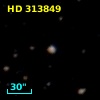 HD 313849