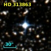 HD 313863
