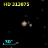 HD 313875