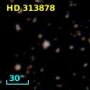 HD 313878
