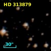 HD 313879