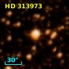 HD 313973