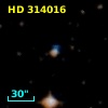 HD 314016